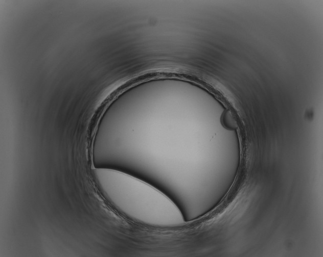 X0000091730829200708241042