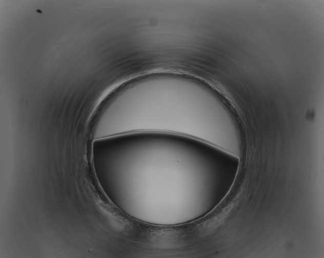 X0000091730830200708241042