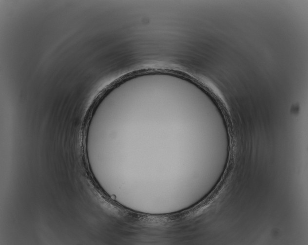 X0000091730831200708241042