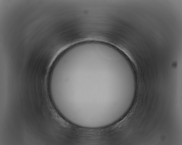 X0000091730832200708241042