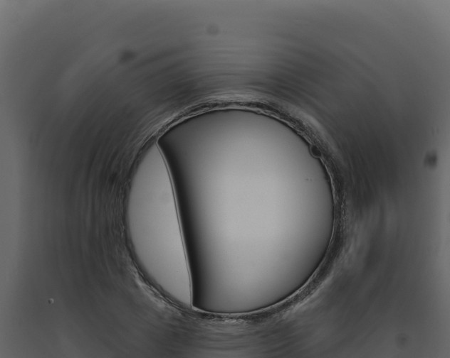 X0000091730833200708241042