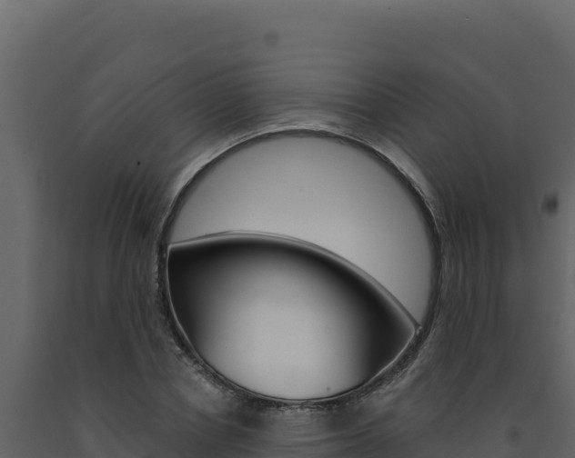 X0000091730834200708241042