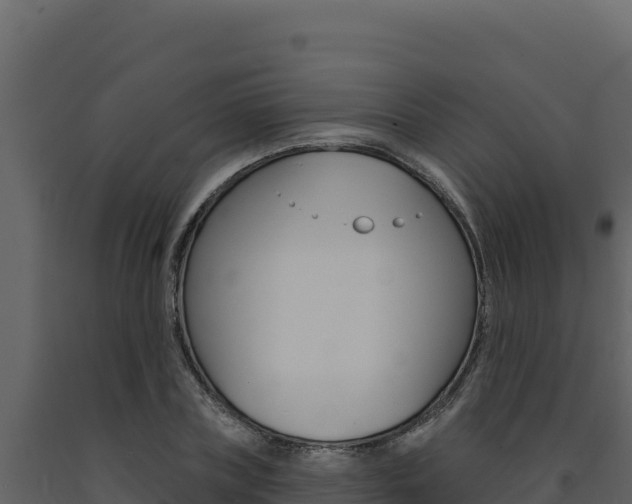 X0000091730835200708241042