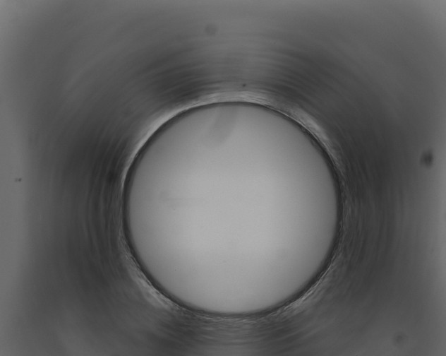 X0000091730836200708241042