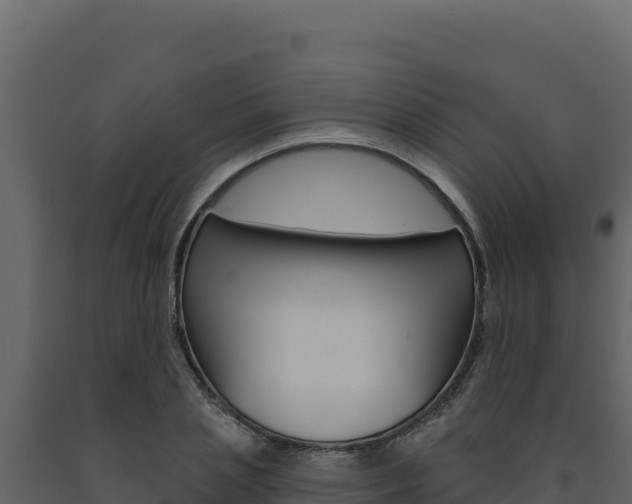 X0000091730837200708241042
