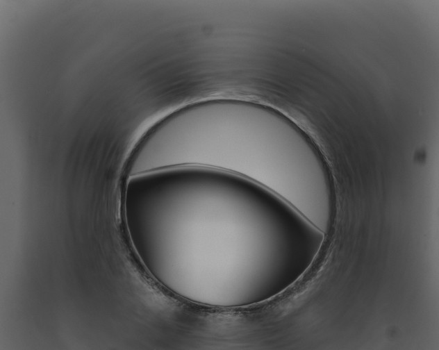 X0000091730838200708241042