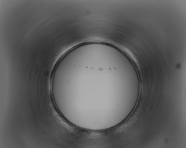 X0000091730839200708241042