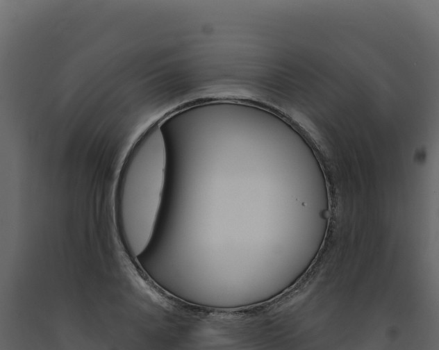 X0000091730840200708241042