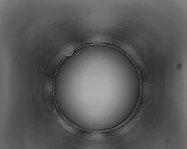 X0000091730841200708241042