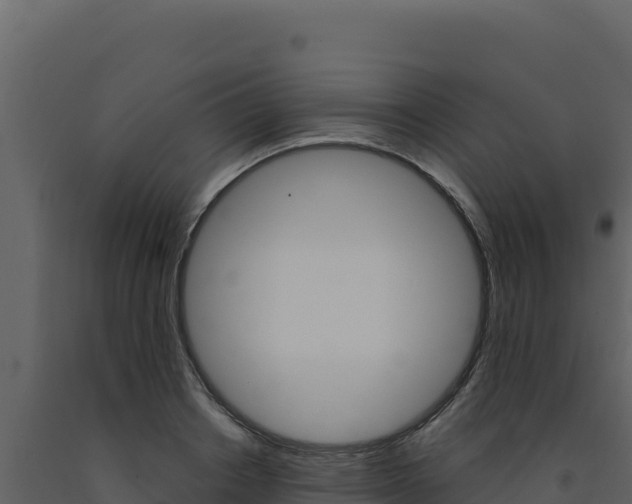 X0000091730842200708241042