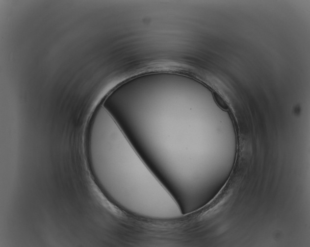 X0000091730843200708241042