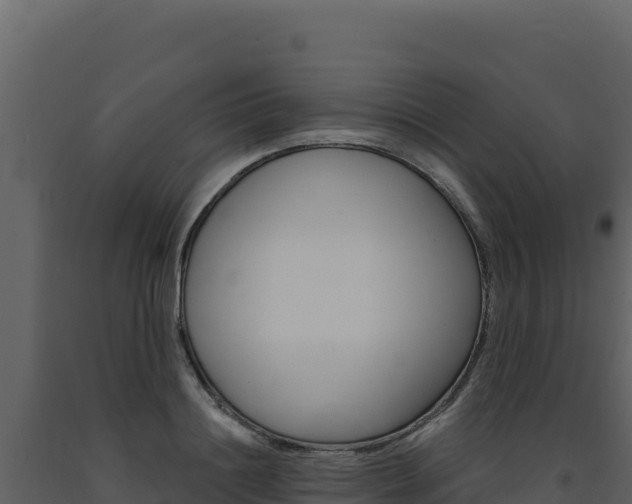 X0000091730844200708241042