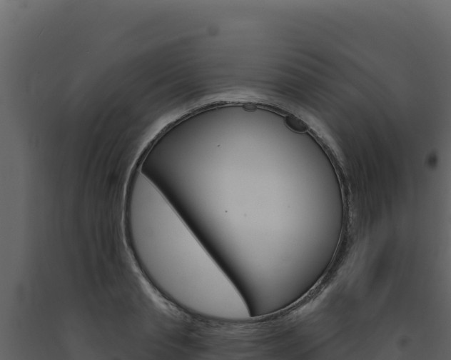 X0000091730845200708241042