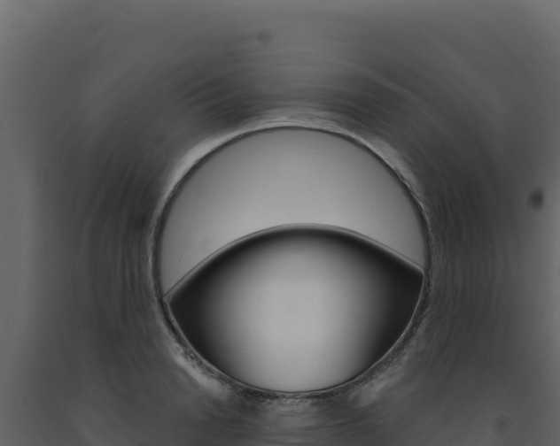 X0000091730846200708241042