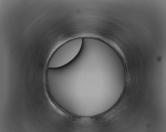 X0000091730847200708241042