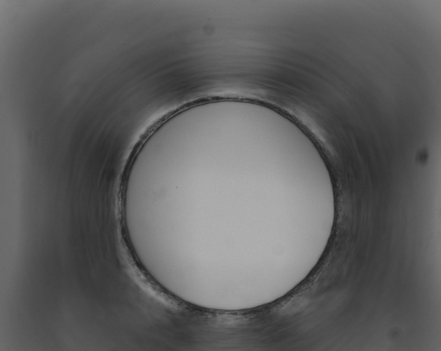 X0000091730848200708241042