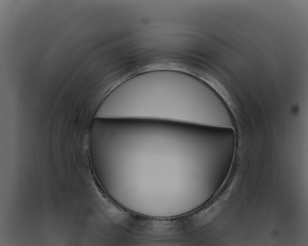 X0000091730849200708241042