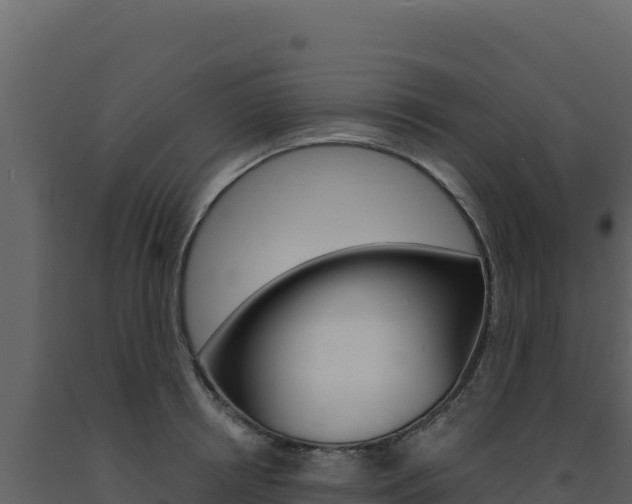 X0000091730850200708241042