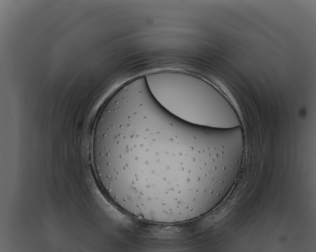 X0000091730851200708241042