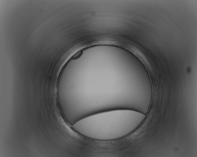 X0000091730852200708241042