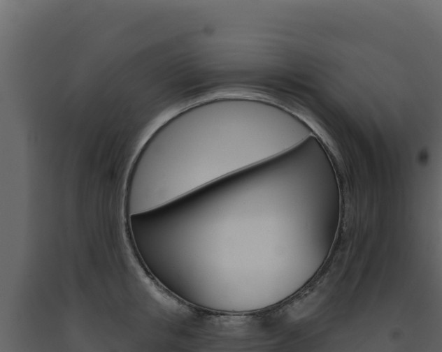 X0000091730853200708241042