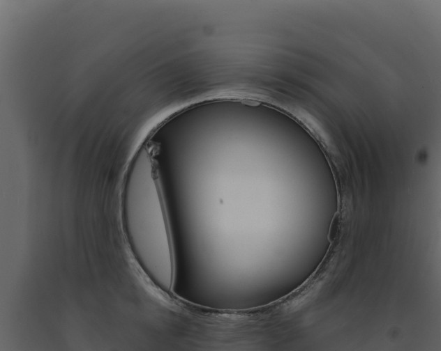 X0000091730854200708241042