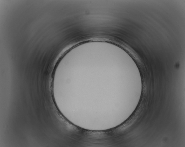X0000091730856200708241042