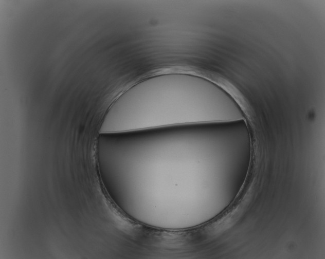 X0000091730857200708241042