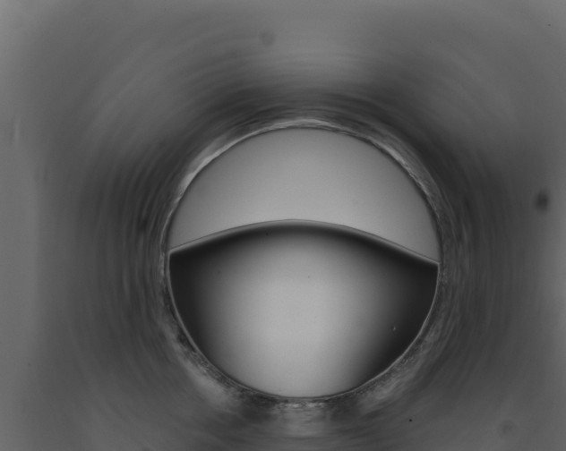 X0000091730858200708241042