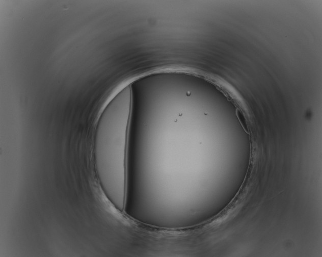 X0000091730860200708241042