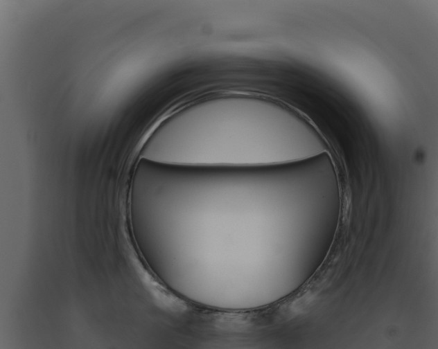 X0000091730861200708241042