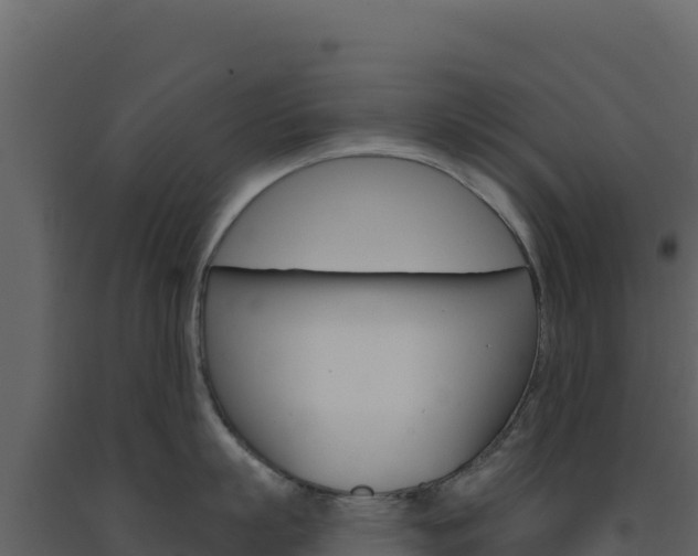 X0000091730863200708241042