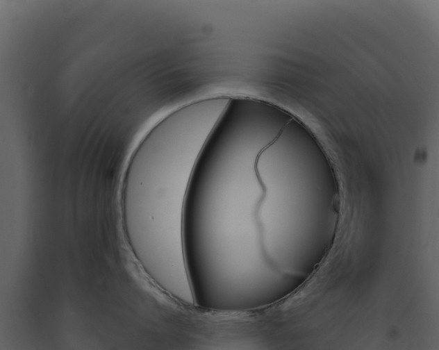 X0000091730864200708241042