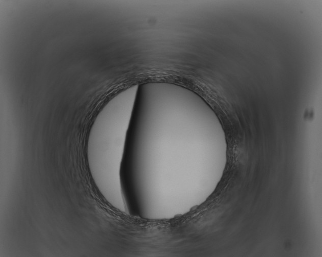 X0000091730865200708241042