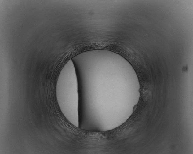 X0000091730866200708241042