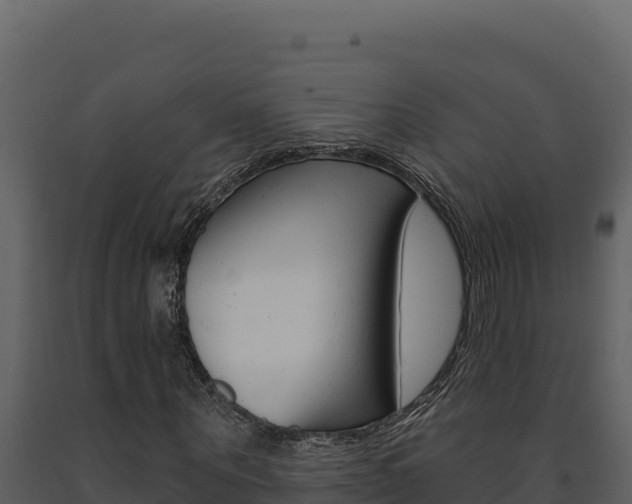 X0000091730867200708241042