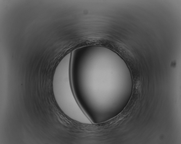 X0000091730868200708241042