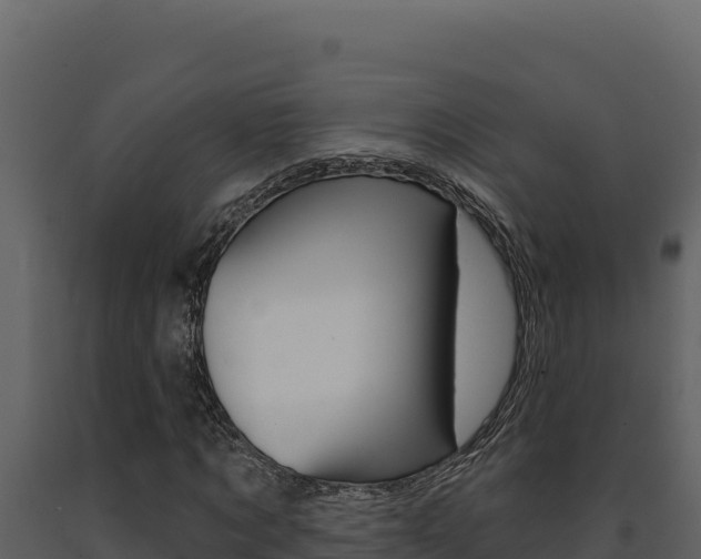X0000091730869200708241042
