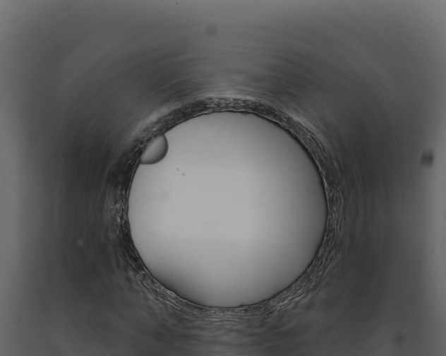 X0000091730870200708241042