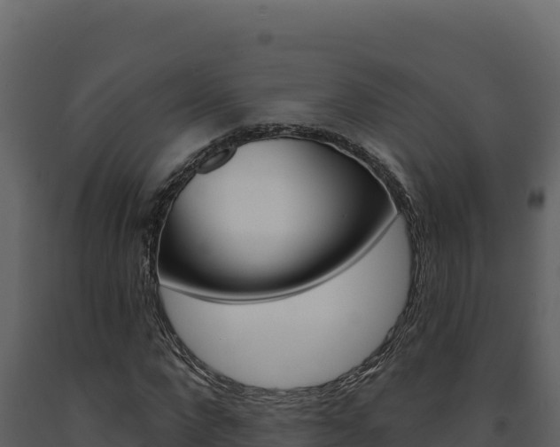 X0000091730872200708241042