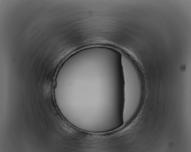 X0000091730873200708241042
