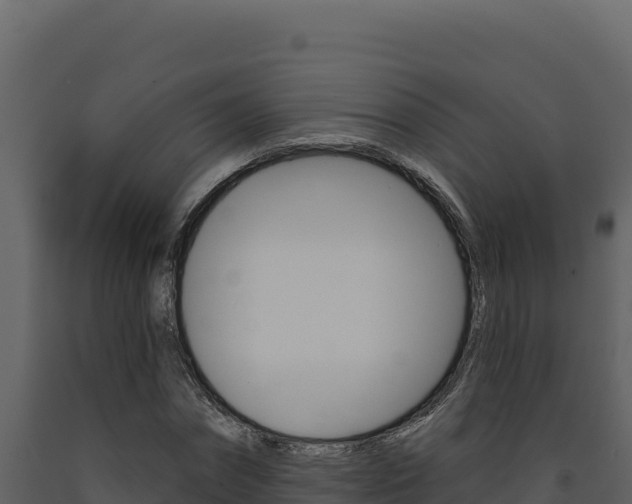 X0000091730874200708241041