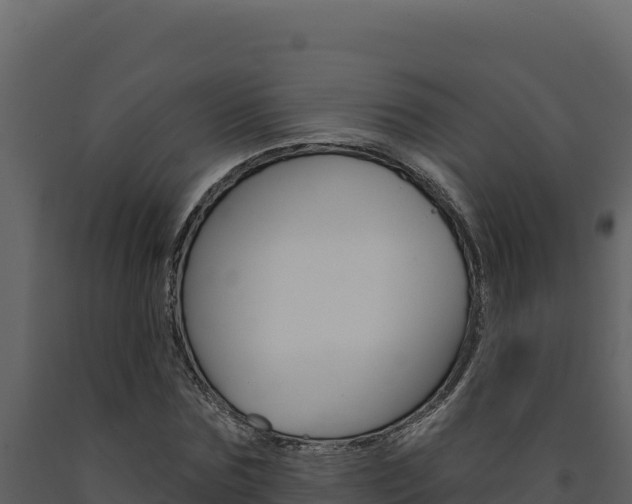 X0000091730875200708241041