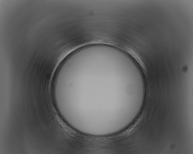 X0000091730876200708241041