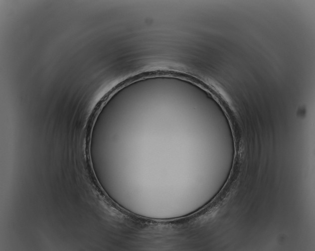 X0000091730877200708241041