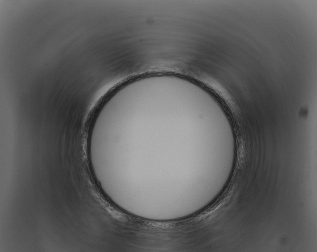 X0000091730878200708241041