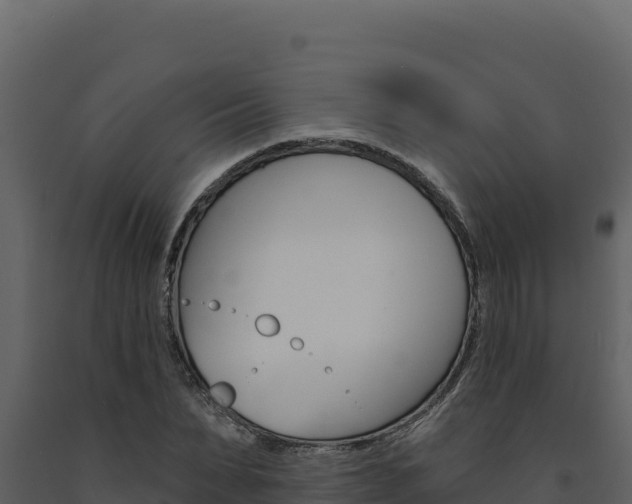 X0000091730879200708241041