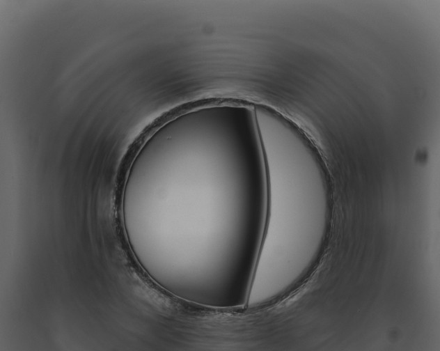 X0000091730880200708241041