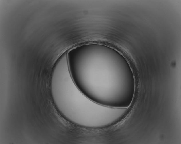 X0000091730881200708241041