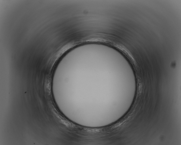 X0000091730882200708241041